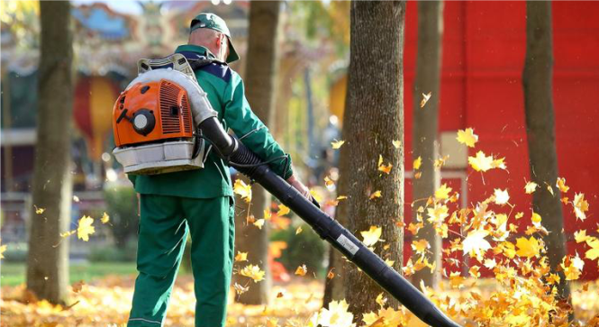 stihl 3